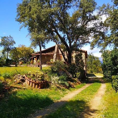 La Simona Casa Rural Perales del Puerto エクステリア 写真