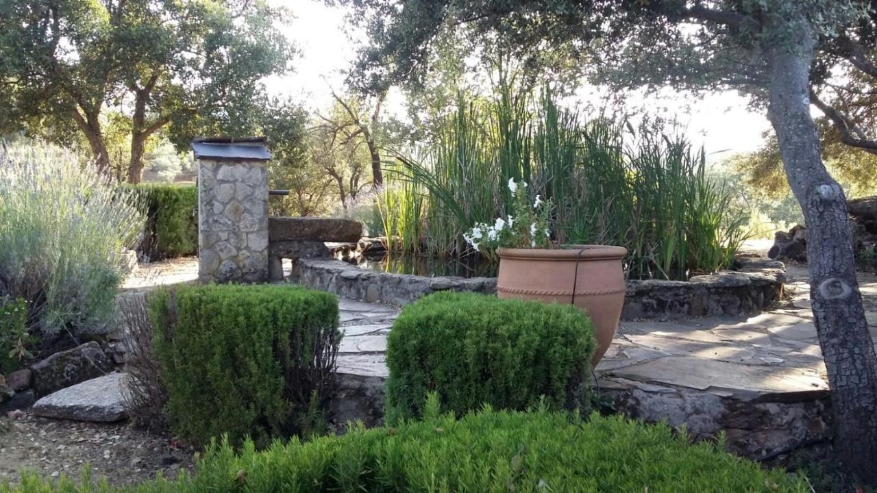 La Simona Casa Rural Perales del Puerto エクステリア 写真