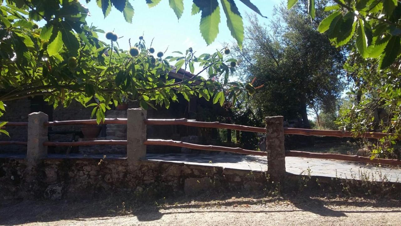 La Simona Casa Rural Perales del Puerto エクステリア 写真