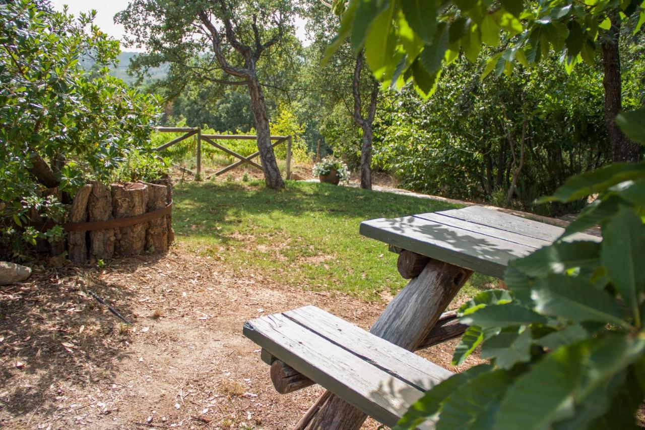 La Simona Casa Rural Perales del Puerto エクステリア 写真