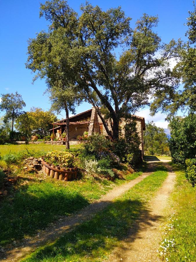 La Simona Casa Rural Perales del Puerto エクステリア 写真