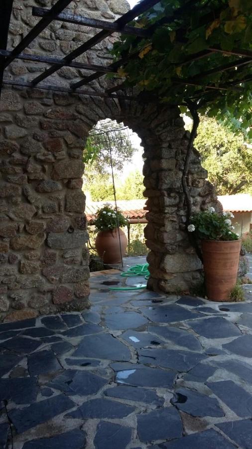 La Simona Casa Rural Perales del Puerto エクステリア 写真