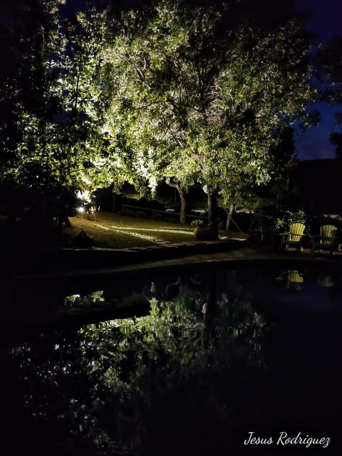 La Simona Casa Rural Perales del Puerto エクステリア 写真