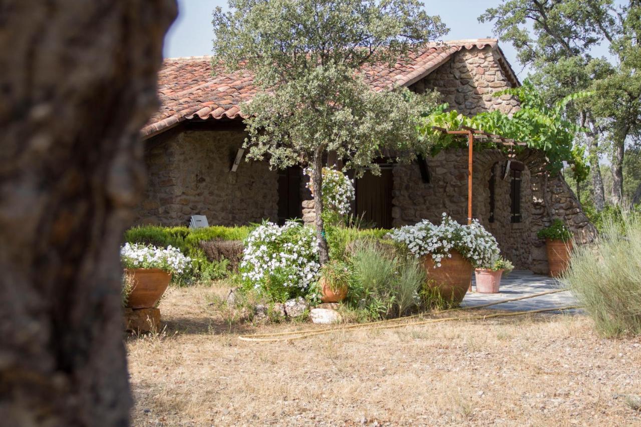 La Simona Casa Rural Perales del Puerto エクステリア 写真