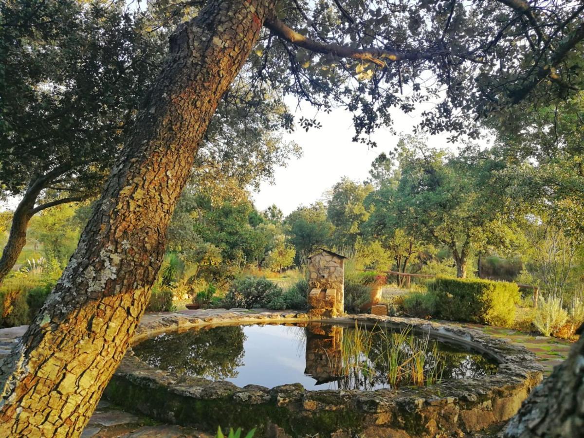 La Simona Casa Rural Perales del Puerto エクステリア 写真