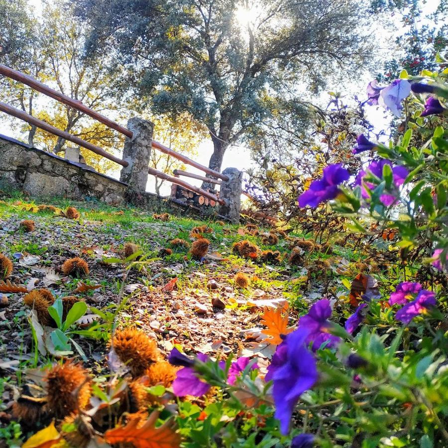 La Simona Casa Rural Perales del Puerto エクステリア 写真