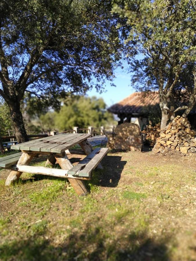 La Simona Casa Rural Perales del Puerto エクステリア 写真