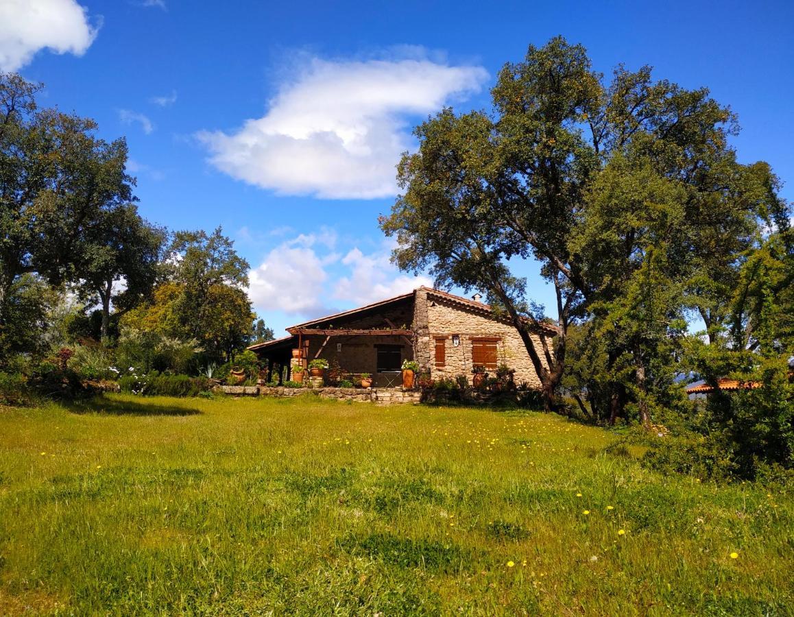 La Simona Casa Rural Perales del Puerto エクステリア 写真