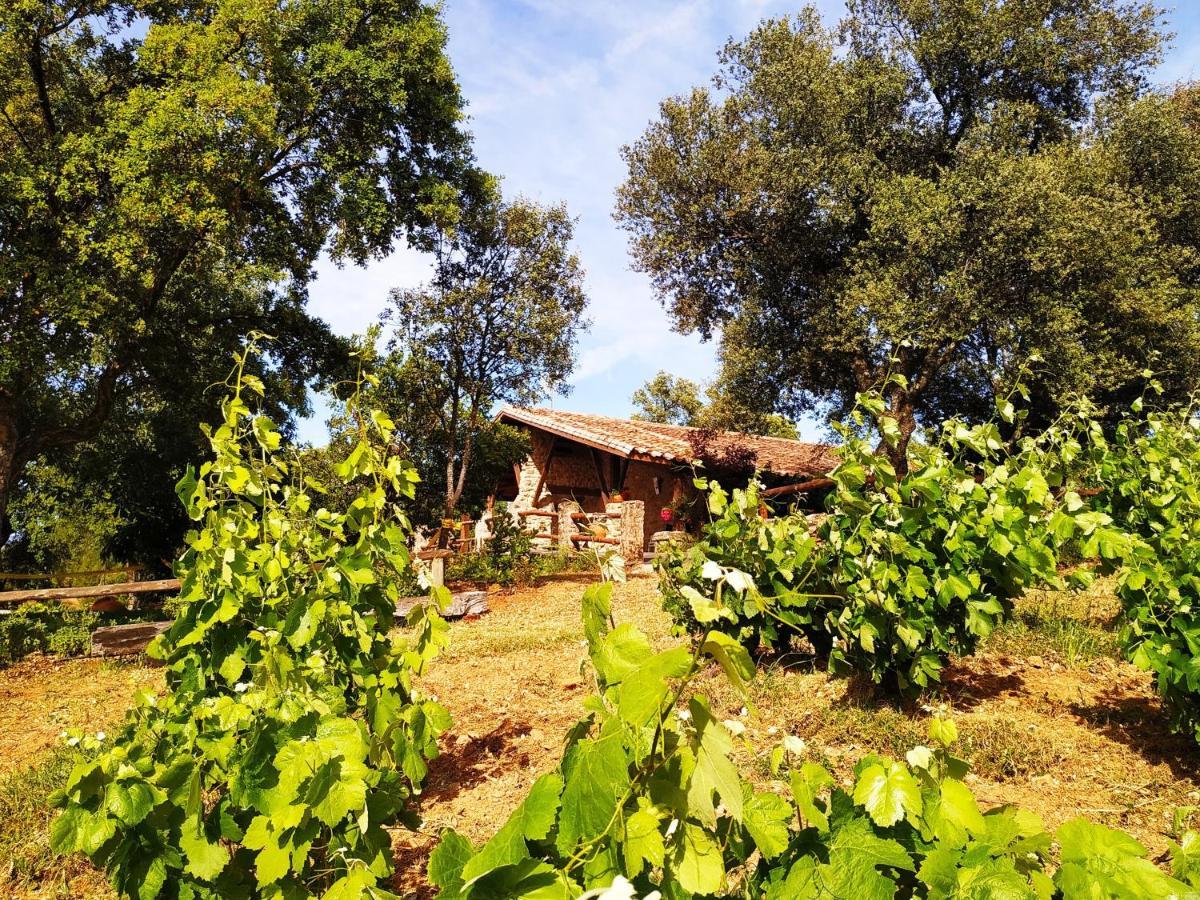 La Simona Casa Rural Perales del Puerto エクステリア 写真